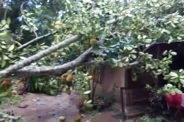 Heavy storm in Sivasagar