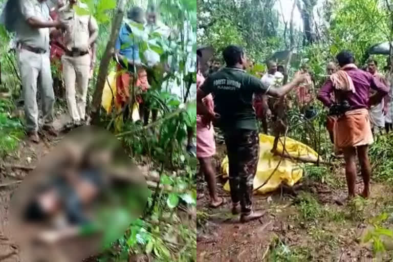 wild elephant trampled farmer in Aralam  wild elephant attack in kannur  കര്‍ഷകനെ കാട്ടാന ചവിട്ടിക്കൊന്നു  ആറളം കാട്ടാന ആക്രമണത്തിൽ കർഷകൻ മരിച്ചു