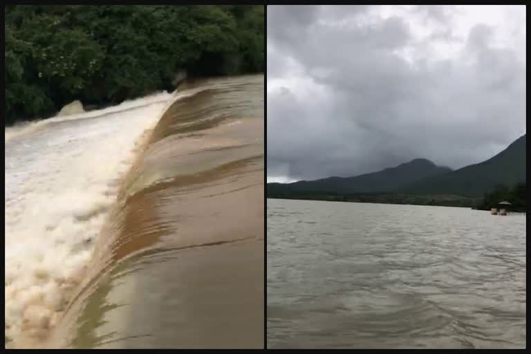 Chikkamagaluru Ayyana lake overflows