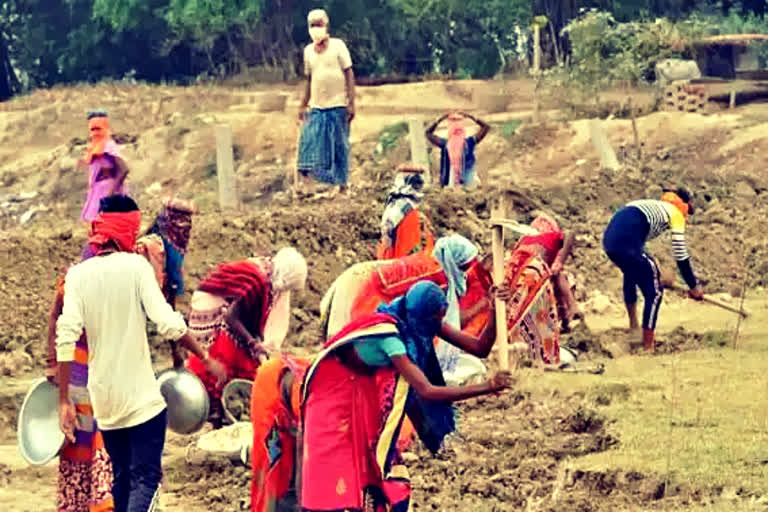 MNREGA workers