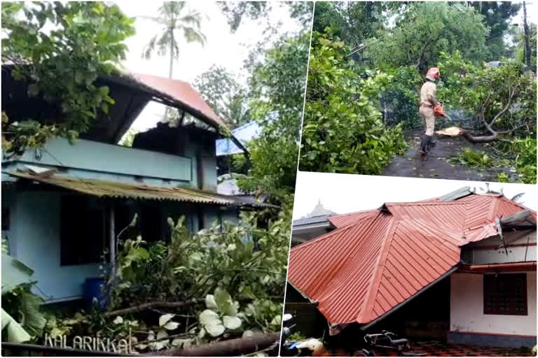 thrissur  cyclone  thrissur cyclone  cherp  alappad  thriprayar  തൃശൂര്‍  തൃശൂര്‍ ചുഴലിക്കാറ്റ്