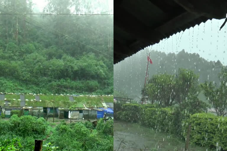 Plantation area mobile tower range rain  munnar mobile tower  തോട്ടം മേഖലകൾ പരിധിക്ക് പുറത്ത്  തോട്ടം മേഖല മഴ  മൊബൈൽ ടവർ പരിധിക്ക് പുറത്ത്  തോട്ടം തൊഴിലാളികൾ