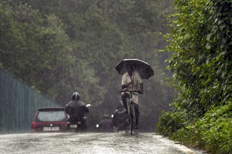 rain holiday at attapady taluk  kerala rain  kerala weather update  palakkad rain update  മഴ അവധി  അട്ടപ്പാടിയിലെ വിദ്യാഭ്യാസസ്ഥാപനങ്ങൾക്ക് ഇന്ന് അവധി  rain holiday for educational institution in attapady  പാലക്കാട് വാർത്ത  പാലക്കാട് മഴ  rain holiday