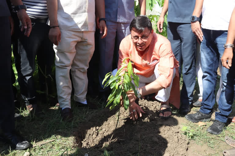 Pushkar Singh Dhami Planted Saplings