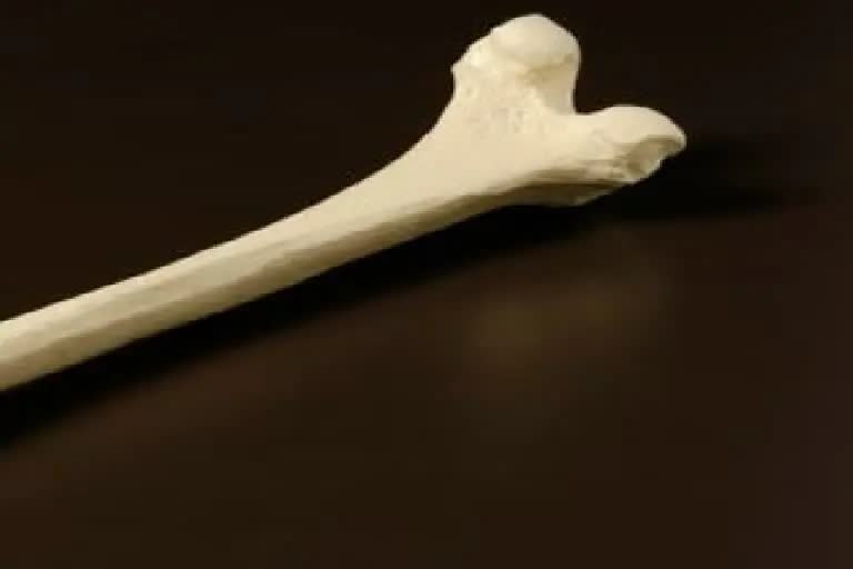 human bone  human bone found near thenkasi  Suspicious human bone  Suspicious human bone in kadayanallur  thenkasi news  thenkasi latest news  தென்காசியில் மனித எலும்பு கூடு கண்டெடுப்பு  மனித எலும்பு  கடையநல்லூர் அருகே மனித எலும்பு கூடு கண்டெடுப்பு  தென்காசி செய்திகள்  இன்றைய செய்திகள்