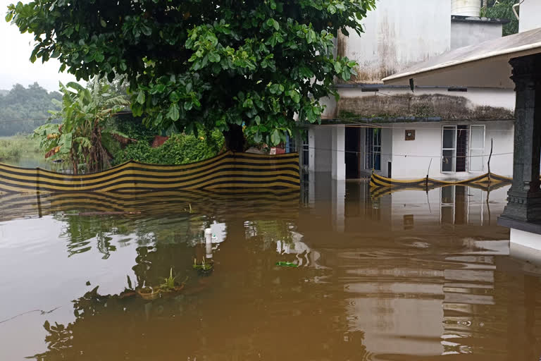 Rain update Mavoor panchayat  Widespread damage in Mavoor  Rain update calicut  മാവൂര്‍ പഞ്ചായത്തില്‍ വ്യാപക നാശം  മാവൂരില്‍ ശക്തമായ മഴ  മാവൂരില്‍ മഴ