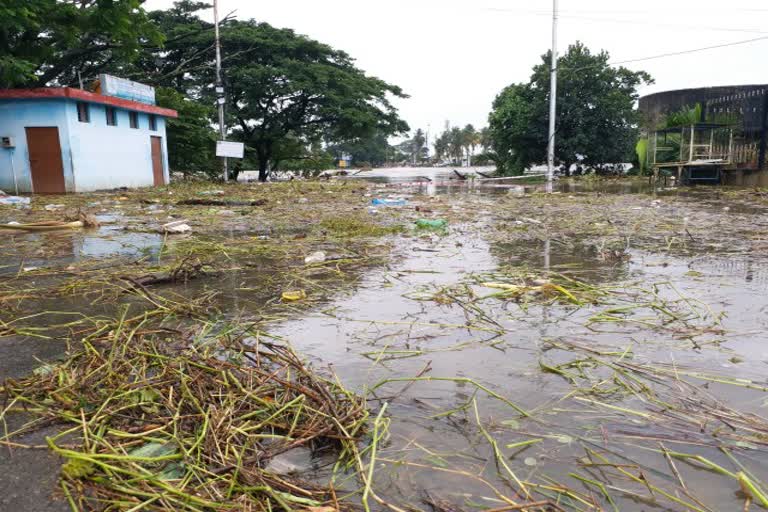 ಭದ್ರೆಯ ಪ್ರವಾಹಕ್ಕೆ ಭದ್ರಾವತಿ ಹೊಸ ಸೇತುವೆ ಮುಳುಗಡೆ