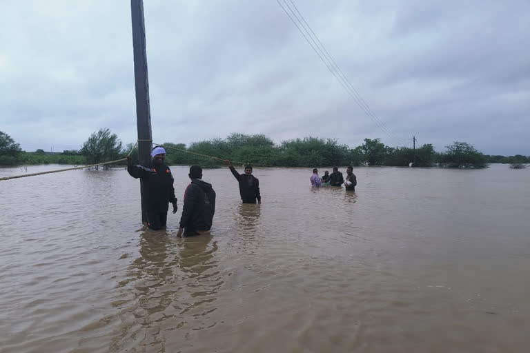 मुसळधार पसवामुळे पैनगंगेने धोक्याची पातळी ओलांडली