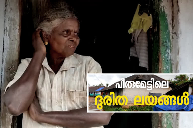 ലയങ്ങളില്‍ ദുരിത ജീവിതം  പീരുമേട് ടി കമ്പനിയിലെ തൊഴിലാളികൾ  പീരുമേട് വാര്‍ത്ത  Peerumedu Plantation Company  Peerumedu Plantation Company Workers