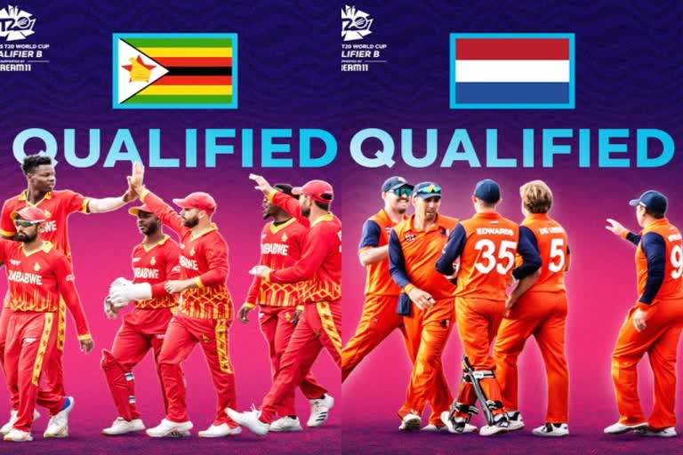 Netherlands and Zimbabwe  Netherlands Cricket Team  Zimbabwe Cricket Team  Sports News  Cricket News  ICC World T20  ICC Men's T20 World Cup 2022  नीदरलैंड क्रिकेट टीम  जिम्बाब्वे क्रिकेट टीम  आईसीसी टी-20 विश्व कप  क्रिकेट न्यूज  खेल समाचार