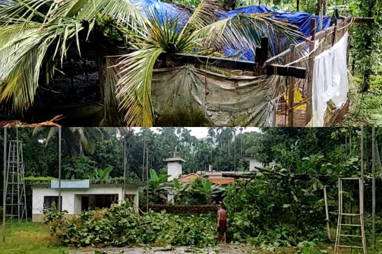 ചുഴലിക്കാറ്റിൽ വ്യാപക നാശം  ചുഴലിക്കാറ്റിൽ മലയോരത്ത് വ്യാപക നാശനഷ്‌ടം  Heavy rain hits in Kannur  കനത്ത മഴയ്‌ക്കൊപ്പം ചുഴലിക്കാറ്റും  Heavy rain hits in Kannur  Heavy rain and cyclone hits in Kannur