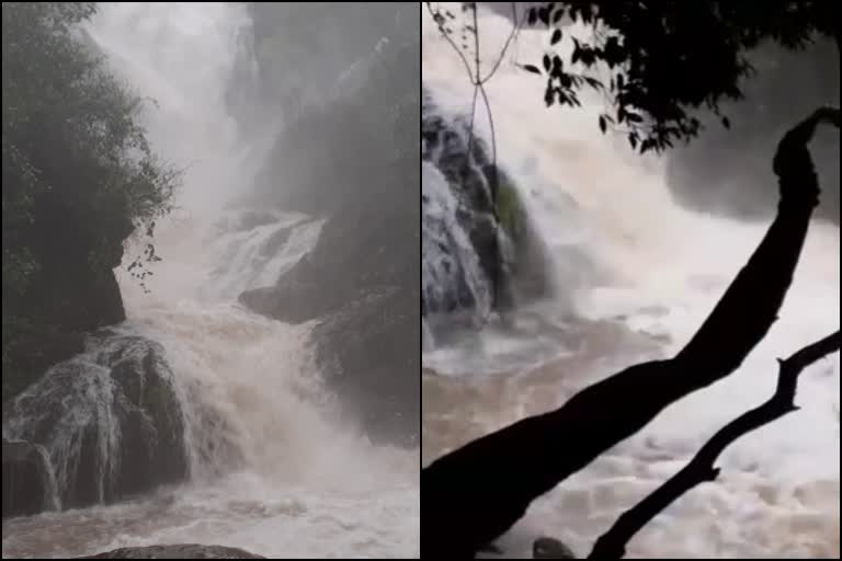 Vibhuti Falls