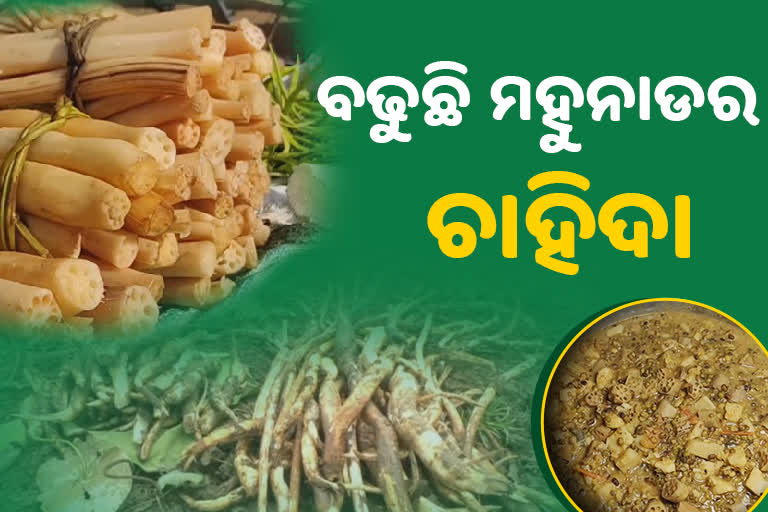 ସ୍ବାସ୍ଥ୍ୟ ପାଇଁ ବେଶ ଲାଭଦାୟକ ମହୁନାଡ:ଦକ୍ଷିଣ ଓଡିଶାରେ ବଢୁଛି ଚାହିଦା