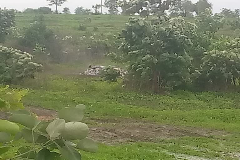 open cremation in Arambhi village