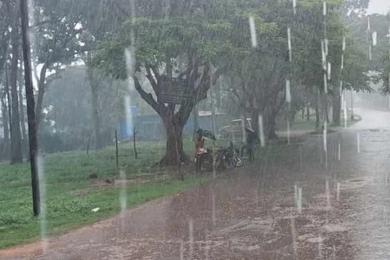 monsoon update in haryana