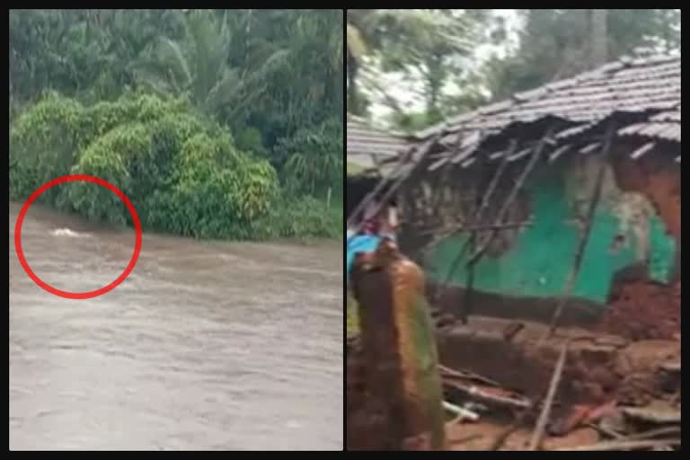 Chikkamagaluru rain