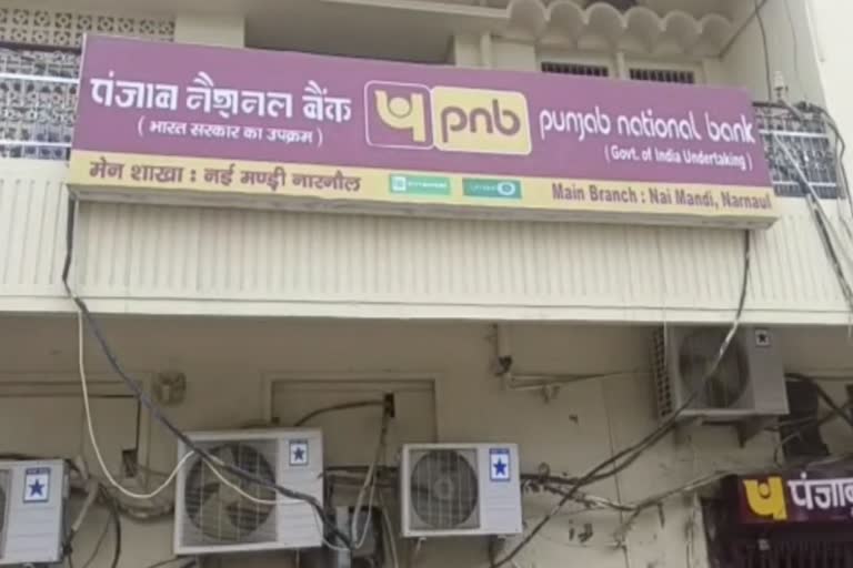Scam in Narnaul Punjab national bank