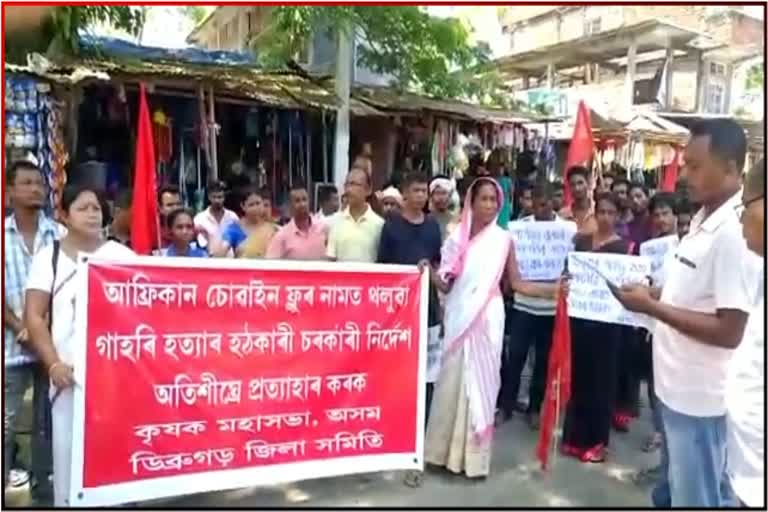 protest-in-dibrugarh-for-culling-process-of-pigs