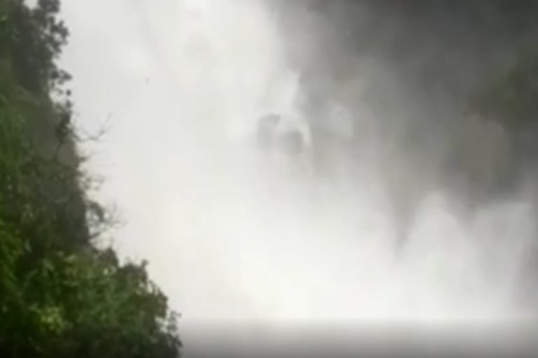 தொடர் கனமழை: அப்பர் ஆழியாற்றில் வெள்ளம் - முன்னேற்பாடுகள் தீவிரம்