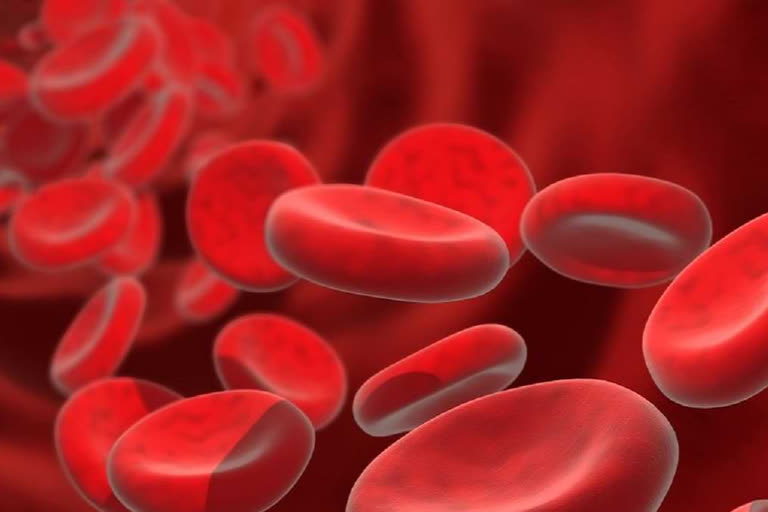 rarest blood was discovered  rarest blood was discovered ranking first in India  ഗുജറാത്തില്‍ രോഗിക്ക് അപൂര്‍വ രക്തഗ്രൂപ്പ്  ഇന്ത്യയില്‍ ആദ്യം ലോകത്ത് 11മത്തെയാള്‍