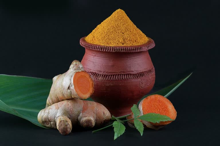 TYPES OF TURMERIC SPECIES IN AYURVEDA