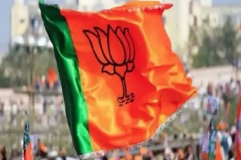 BJP victory in Narsinghpur