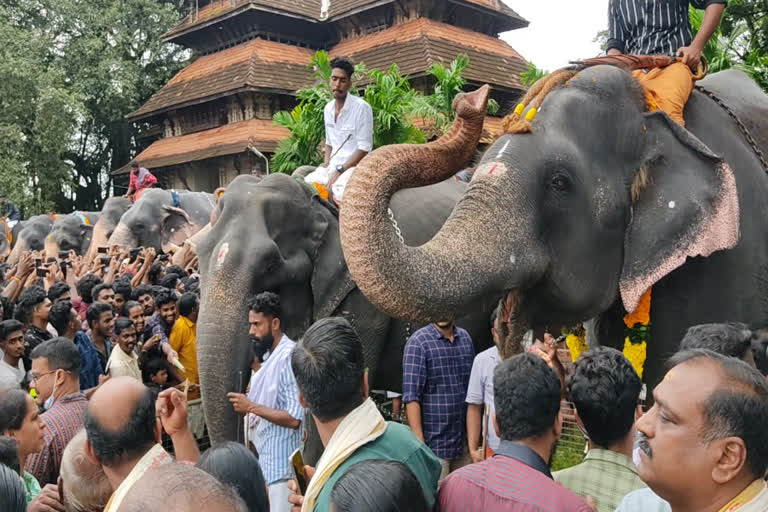 anayoott  thrissur  vadakkumnathakshethram  cochin devaswom board  ആനയൂട്ട്  കൊച്ചിന്‍ ദേവസ്വം ബോര്‍ഡ്  തൃശൂര്‍  വടക്കുംനാഥക്ഷേത്രം