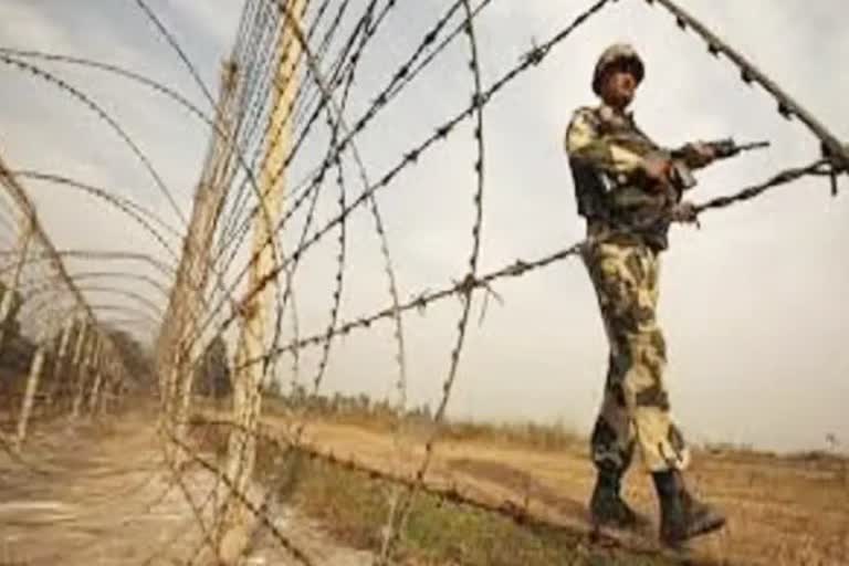 Bsf arrest one pakistani citizen, India Pakistan International Border