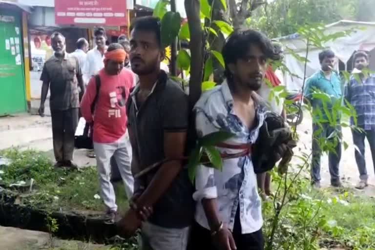 People tied thieves to trees in Bokaro