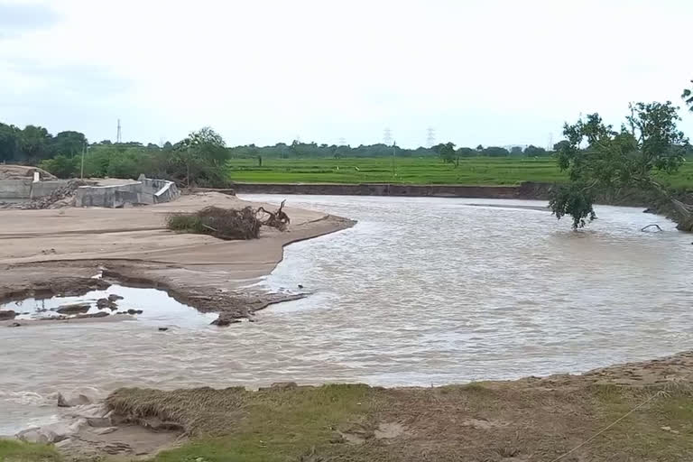 Paddy Loss due to heavy floods in Telangana