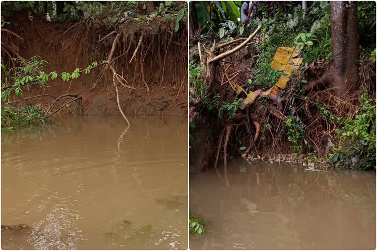 people from the banks of chaliyar river facing trouble  Heavy rain at kozhikode  water flood at Chaliyar river  heavy rain in kerala  കോഴിക്കോട് കനത്ത മഴ  ചാലിയാർ തീരത്തെ വീടുകള്‍ അപകട ഭീഷണിയില്‍  ചാലിയാര്‍ തീരം അപകടത്തില്‍