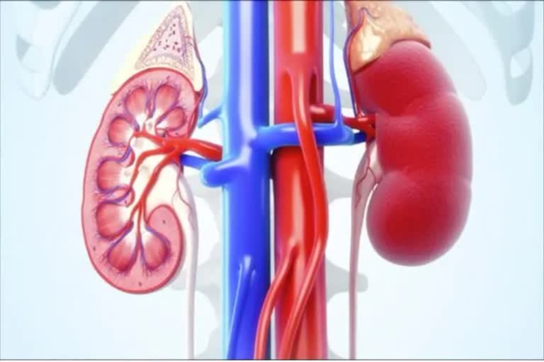 super-speciality-hospital-srinagar-becomes-valleys-second-hospital-to-perform-kidney-transplants