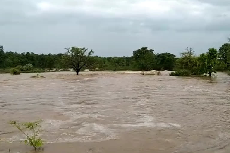 पवनी तालुक्यातील पाथरी येथील घटना