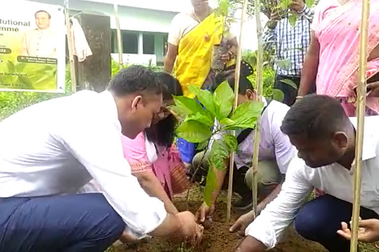 cm institutional plantation programme launched in dibrugarh