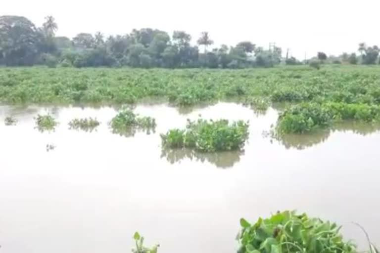 minor girl rescued by devotees from river in kendrapara