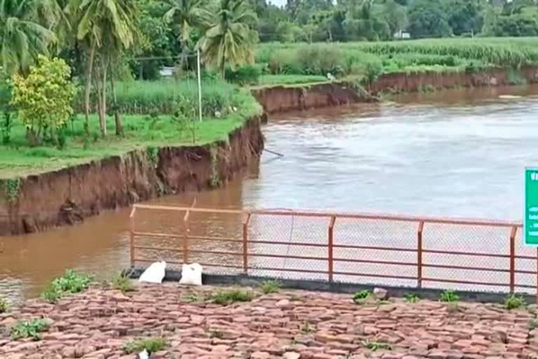 farmers-lands-in-athani-of-belgaum-district-are-drowned-in-krishna-river