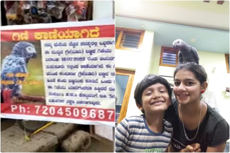 Family offers RS. 50  000 reward for those who find out the missing parrot in Tumakuru  റുസ്‌ത്‌മ തത്തയെ കാണാനില്ല  തത്തയെ കാണാനില്ല  കണ്ടെത്തുന്നവര്‍ക്ക് 50000 പാരിതോഷികം  പാരിതോഷികം  reward for those who find out the missing parrot in Tumakuru  ബെംഗളൂരു തത്ത  ബെംഗളൂരു  തുമാകൂരിലെ ജയനഗർ കോളനി  കര്‍ണാടക