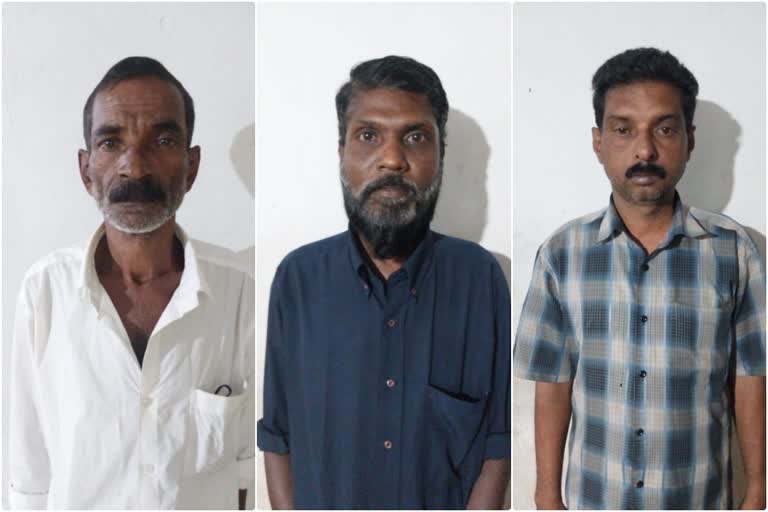 #pta arrest  Three people were arrested  Three people were arrested for trying to smuggle ganja  കഞ്ചാവ് കടത്താന്‍ ശ്രമം  കഞ്ചാവുമായി മൂന്ന് പേര്‍ പിടിയില്‍  വെച്ചൂച്ചിറ  ഡാൻസാഫ്  കഞ്ചാവ് കടത്താന്‍ ശ്രമിച്ച മൂന്ന് പേര്‍ അറസ്റ്റില്‍