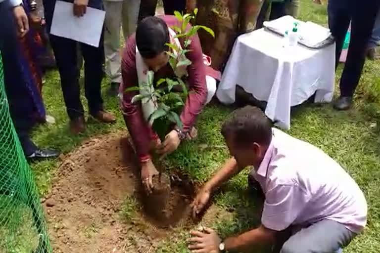 chief-ministers-institutional-plantation-programme-under-tourism-department-in-guwahati