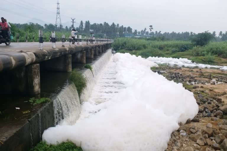 தோல் கழிவுகளால் நுரை பொங்கி ஓடும் பாலாறு...விவசாயிகள் வேதனை!தோல் கழிவுகளால் நுரை பொங்கி ஓடும் பாலாறு...விவசாயிகள் வேதனை!