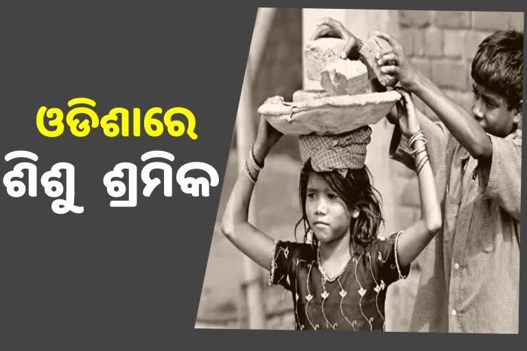 ରାଜ୍ୟରେ ଅଛନ୍ତି ୯୨୦୮୭ ଶିଶୁ ଶ୍ରମିକ, ଗୃହରେ ଉତ୍ତର ରଖିଲେ ଶ୍ରମ ମନ୍ତ୍ରୀ