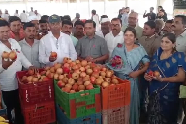 pomegranate auction started at lasalgaon agricultural price market committee in nashik