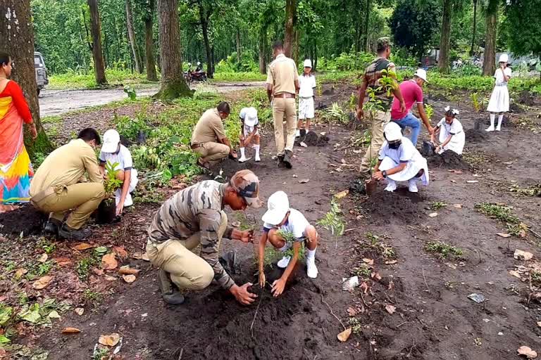 Siliguri Plantations