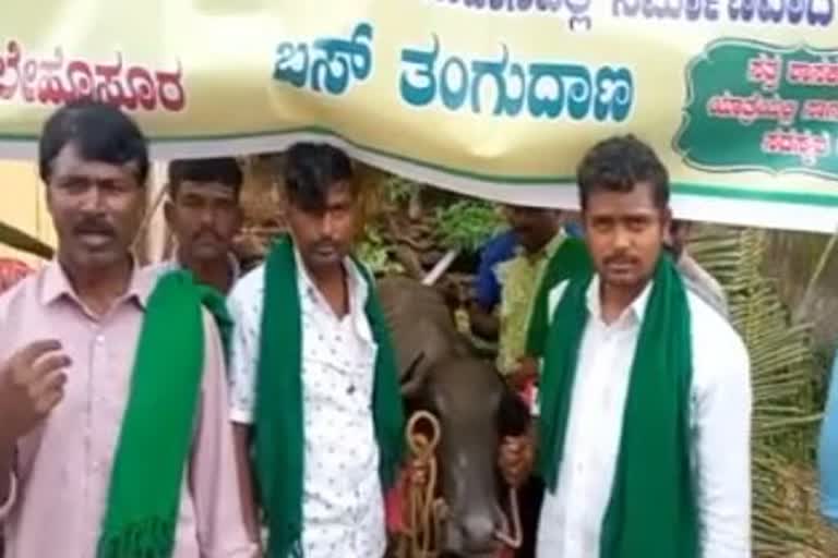 Villagers are inaugurated the busstop with a buffalo