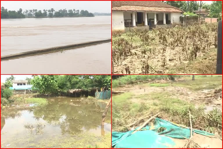 people suffer with floods in east godavari
