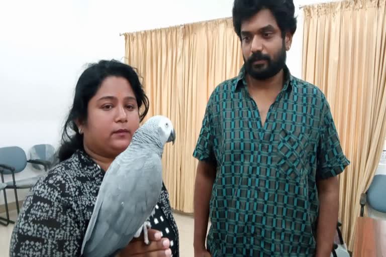 man rounds with parrot in tumkuru city to find his another parrot which is missing