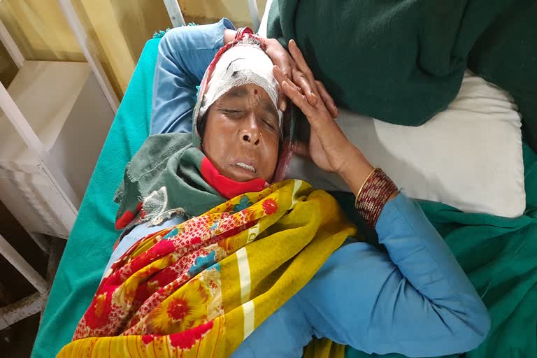 Guldar attacked a woman from Bhandarigaon