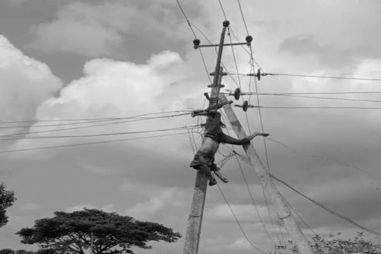 lineman-seriously-injured-due-to-electric-shock