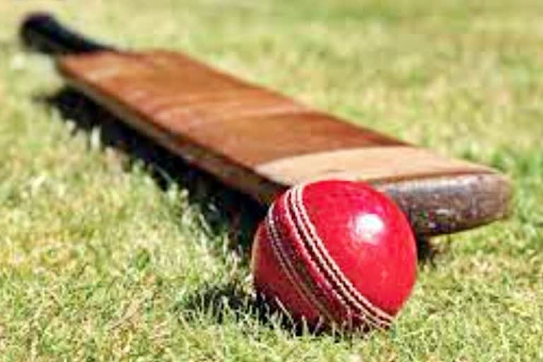 Duleep Trophy  Iranian Cup  BCCI  दलीप ट्राफी  ईरानी कप  घरेलू सत्र  भारतीय क्रिकेट बोर्ड  कोविड-19 महामारी  खेल समाचार  domestic season  sports news  cricket board of india