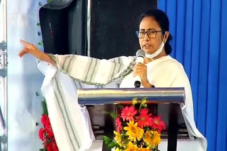 mamata